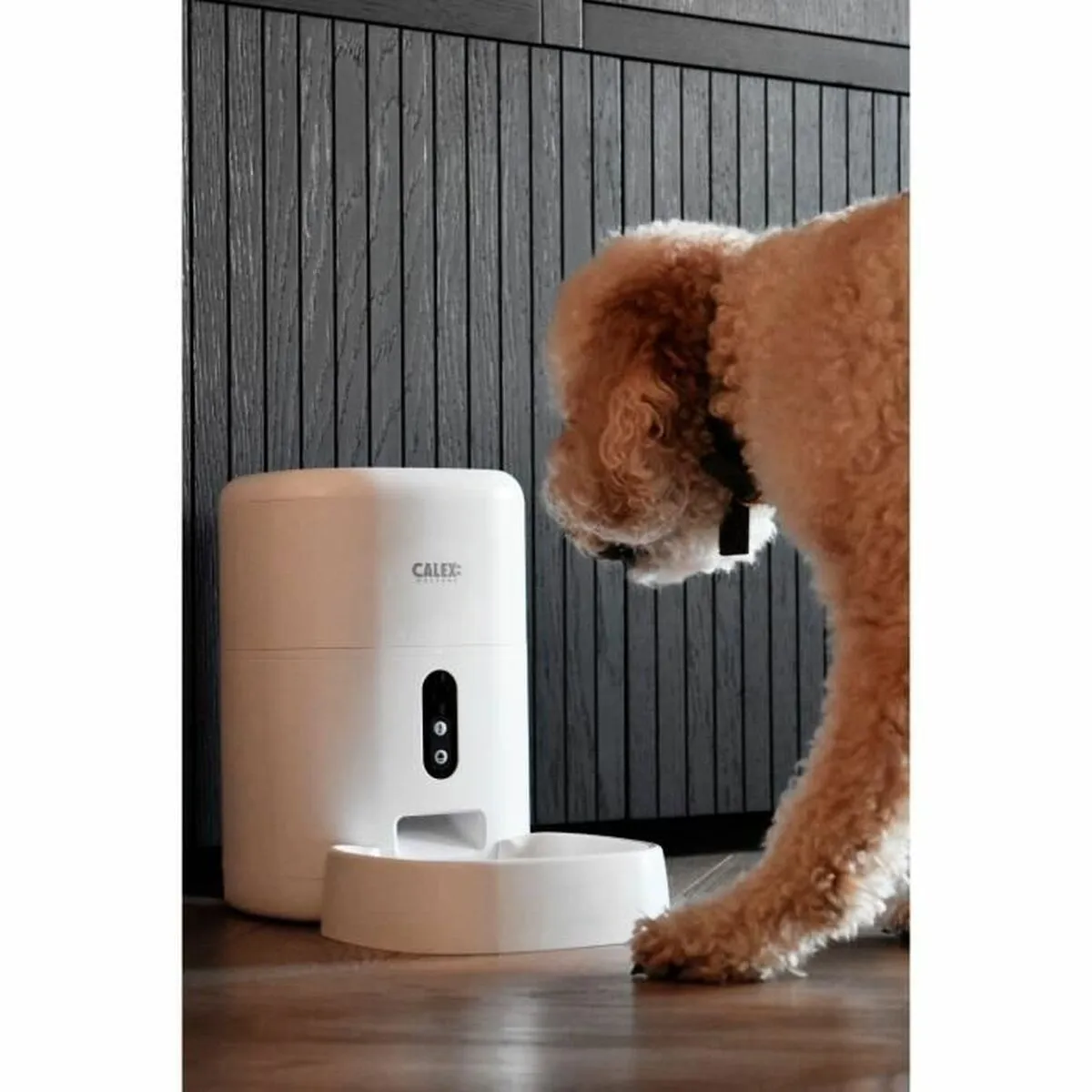 Automatic feeder Calex Smart Petfeeder